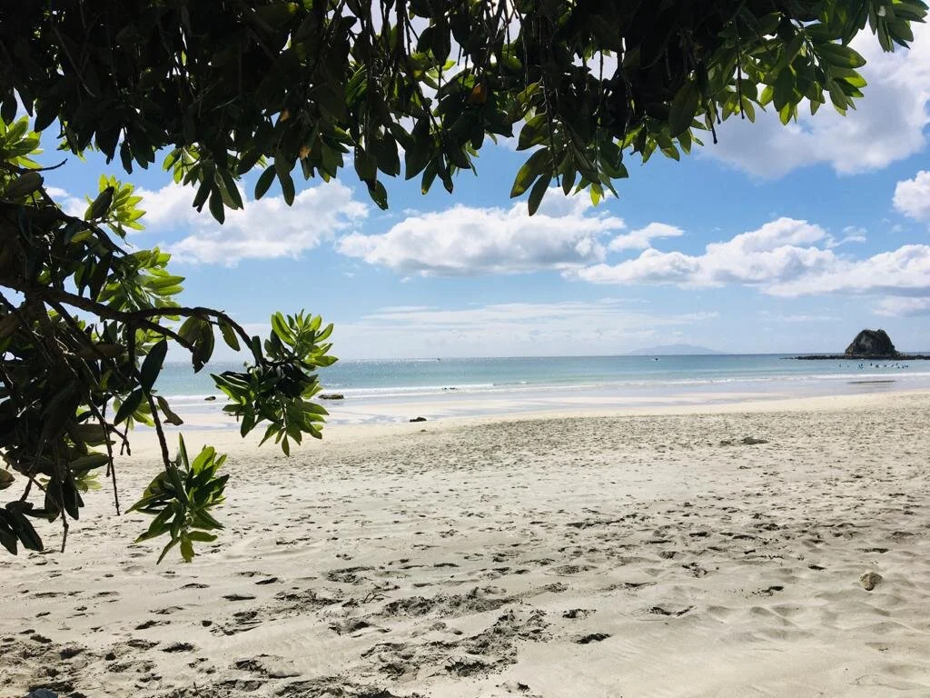 I Paused. This is what I learnt.