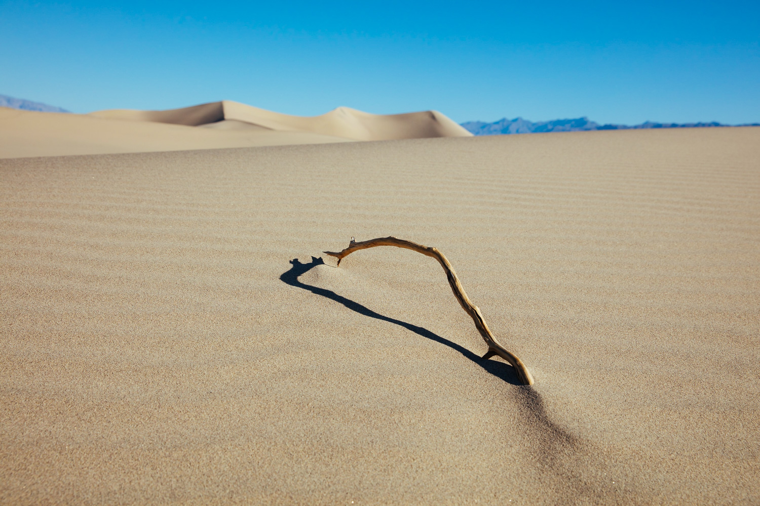  Lone stick | Death Valley, California 