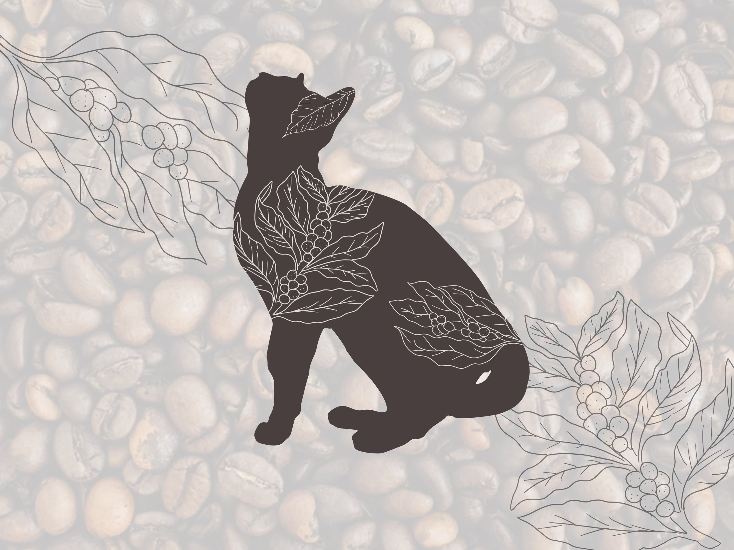Coming Soon: Sioux City cat café makes progress