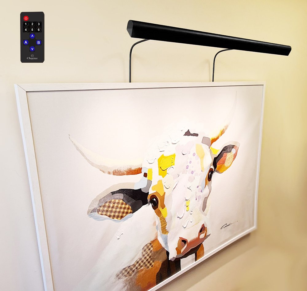 led art light battery powered