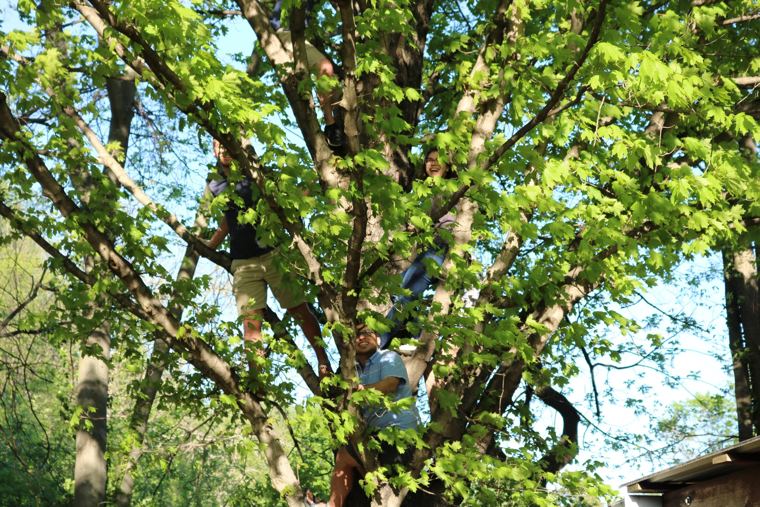 Finding the Right Lab Culture and Where You Fit in