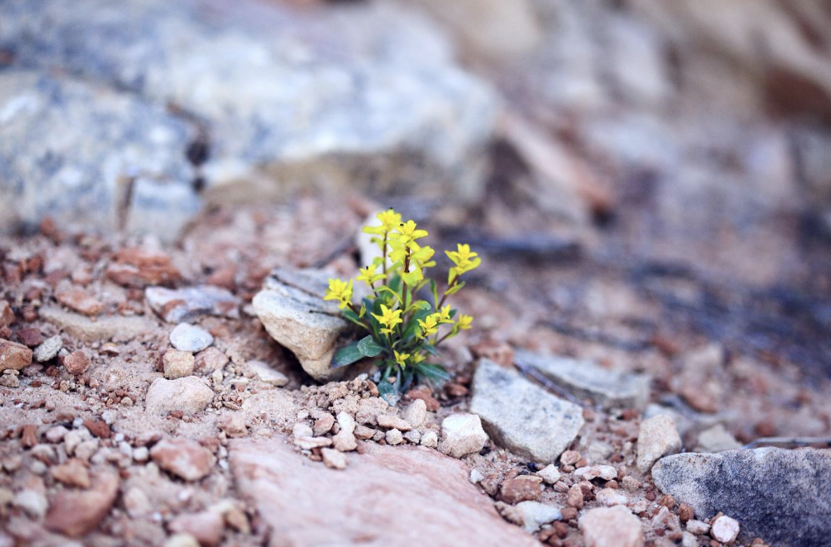 Towards Victim-Centred Reparations For Conflict-Related Sexual Violence Survivors