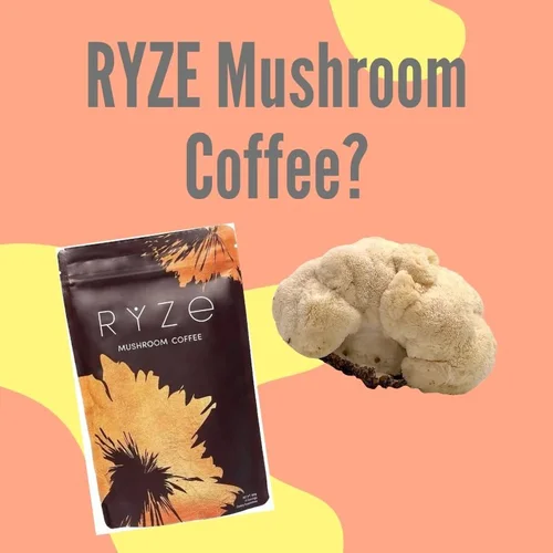 RYZE Mushroom Coffee Review Does it Work — Madison Mae