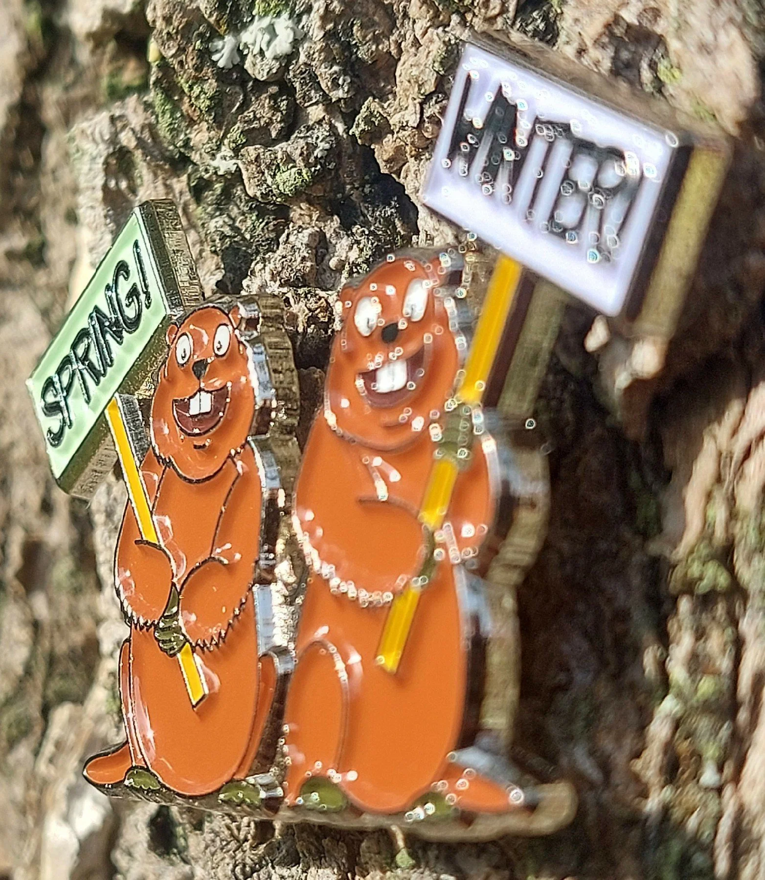 04.jpg