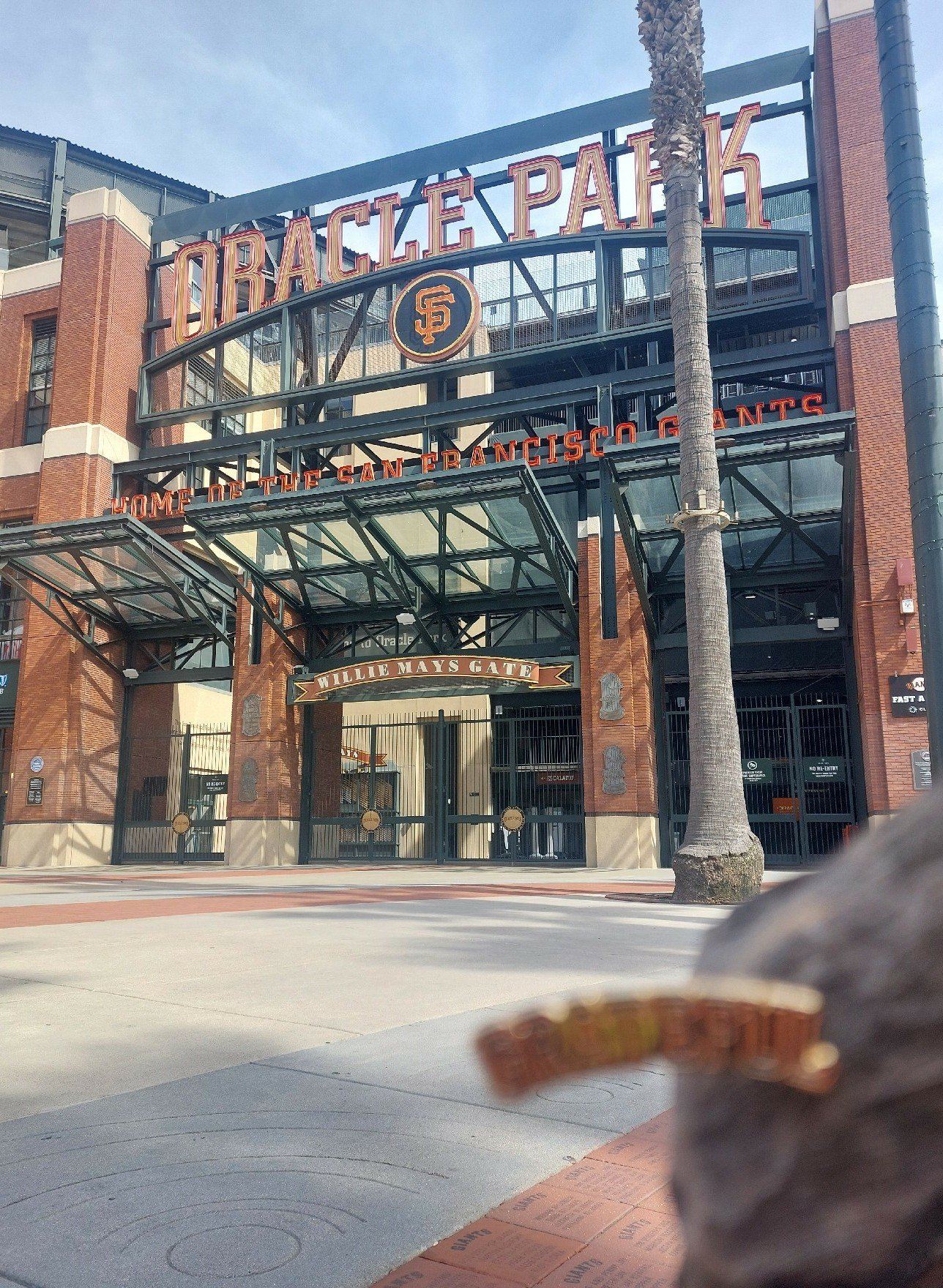 15 One Bo Stadium.jpg