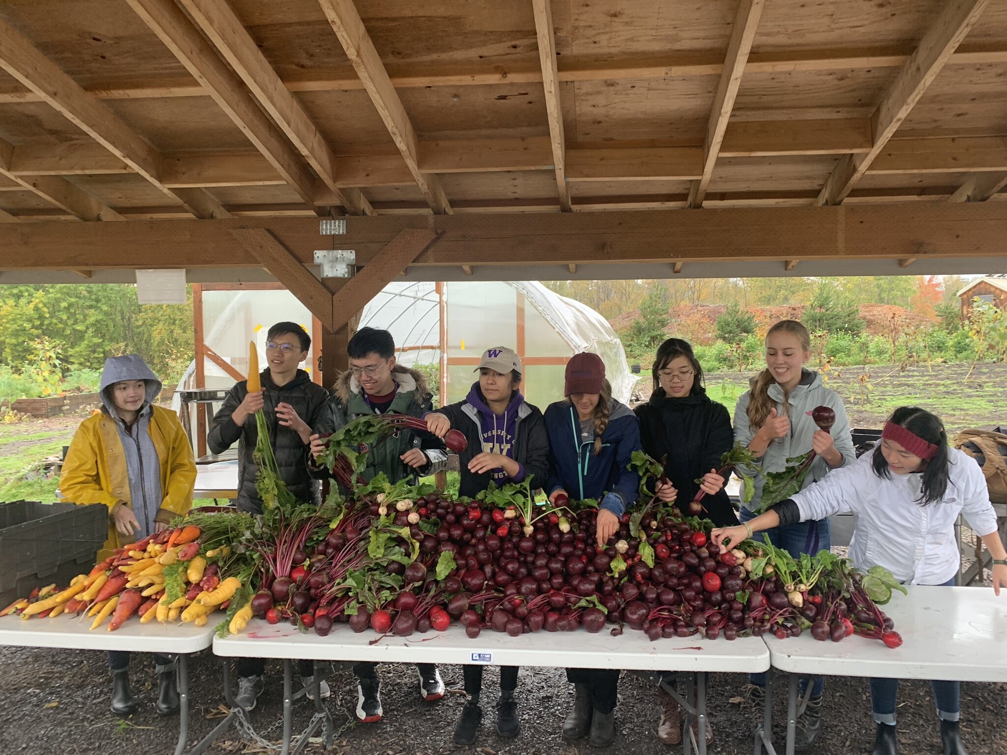 UW Net Impact volunteering with UW farm