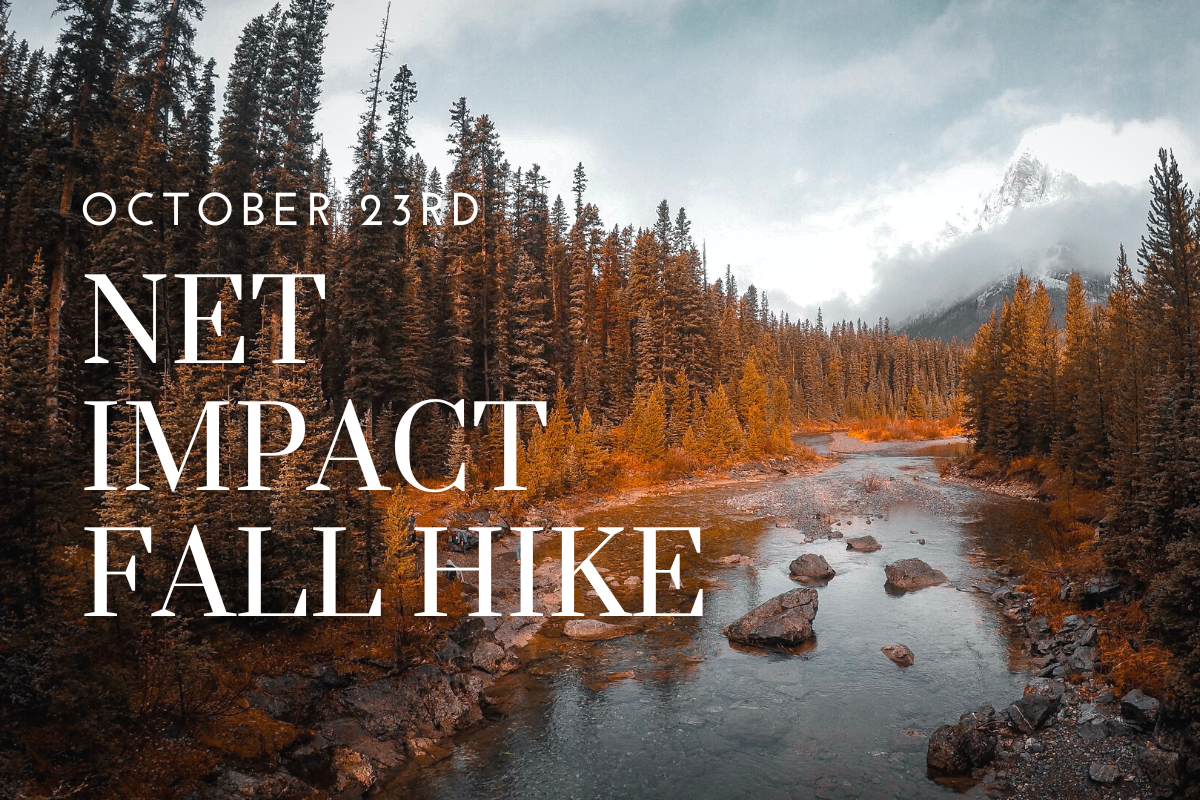Net Impact Fall Hike