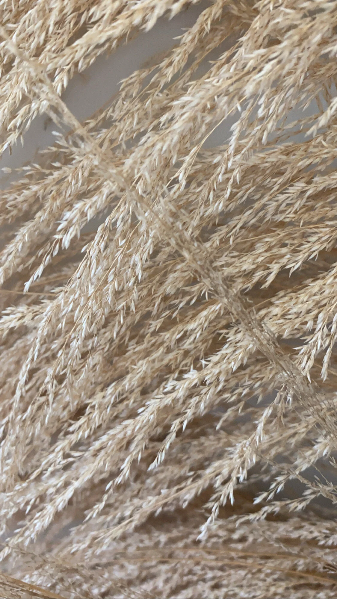 BEAUTY | Sephora Hacks