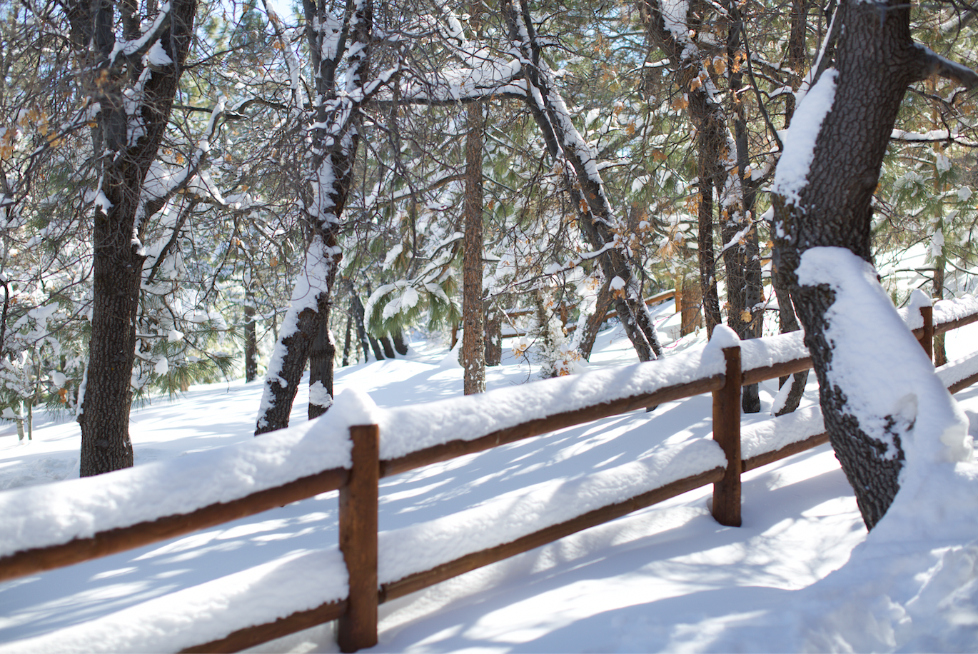 TRAVEL DIARY | Big Bear 