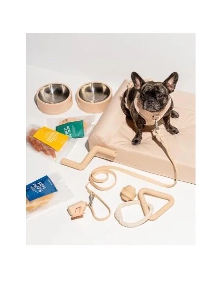 Wild One Starter Kit