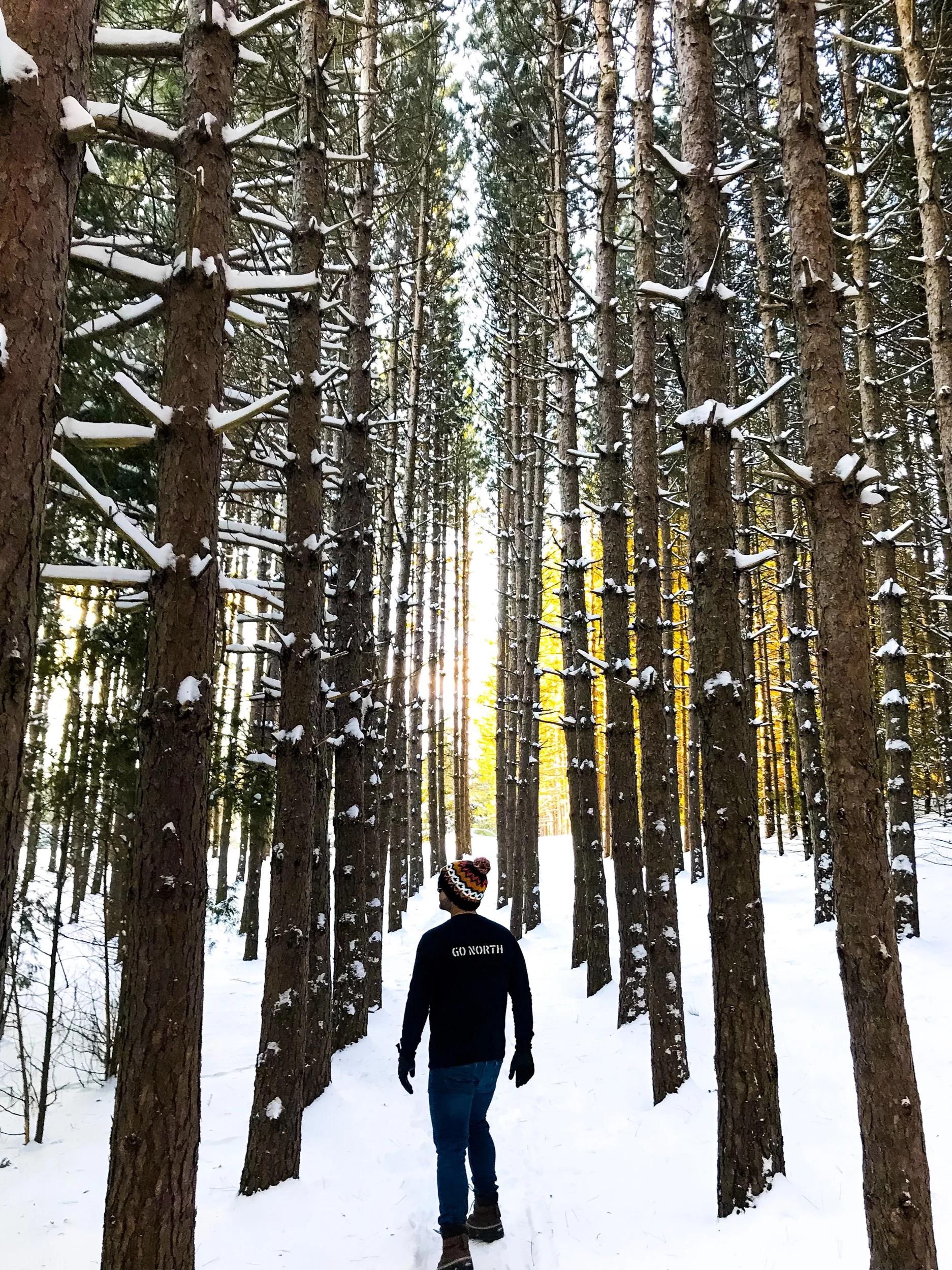 Lost in Ontario: Three cabin getaways that are within an hour’s drive of Toronto