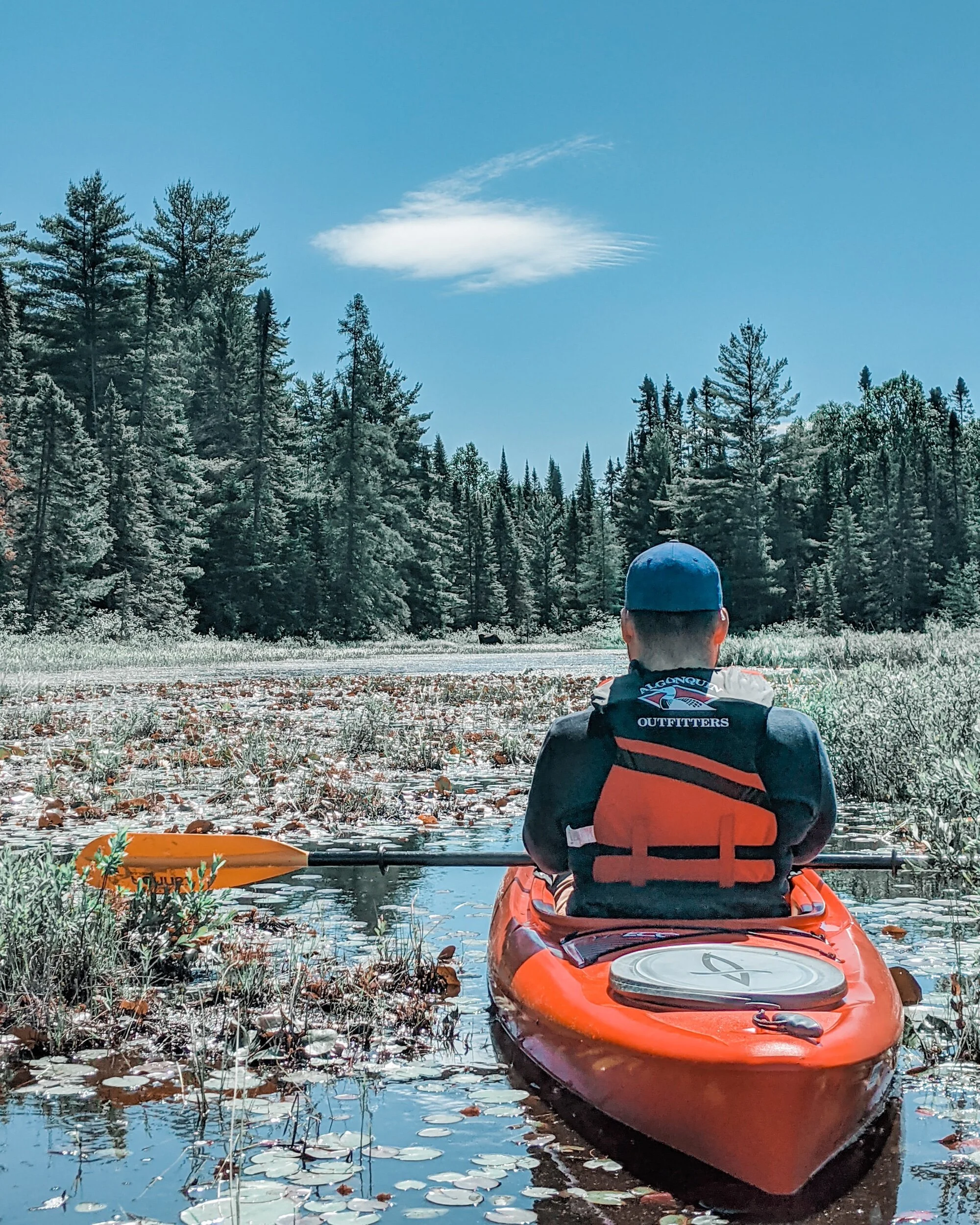 Lost in Ontario: The Ultimate Kayaking Adventure at Hailstorm Creek Nature Reserve, Algonquin Park
