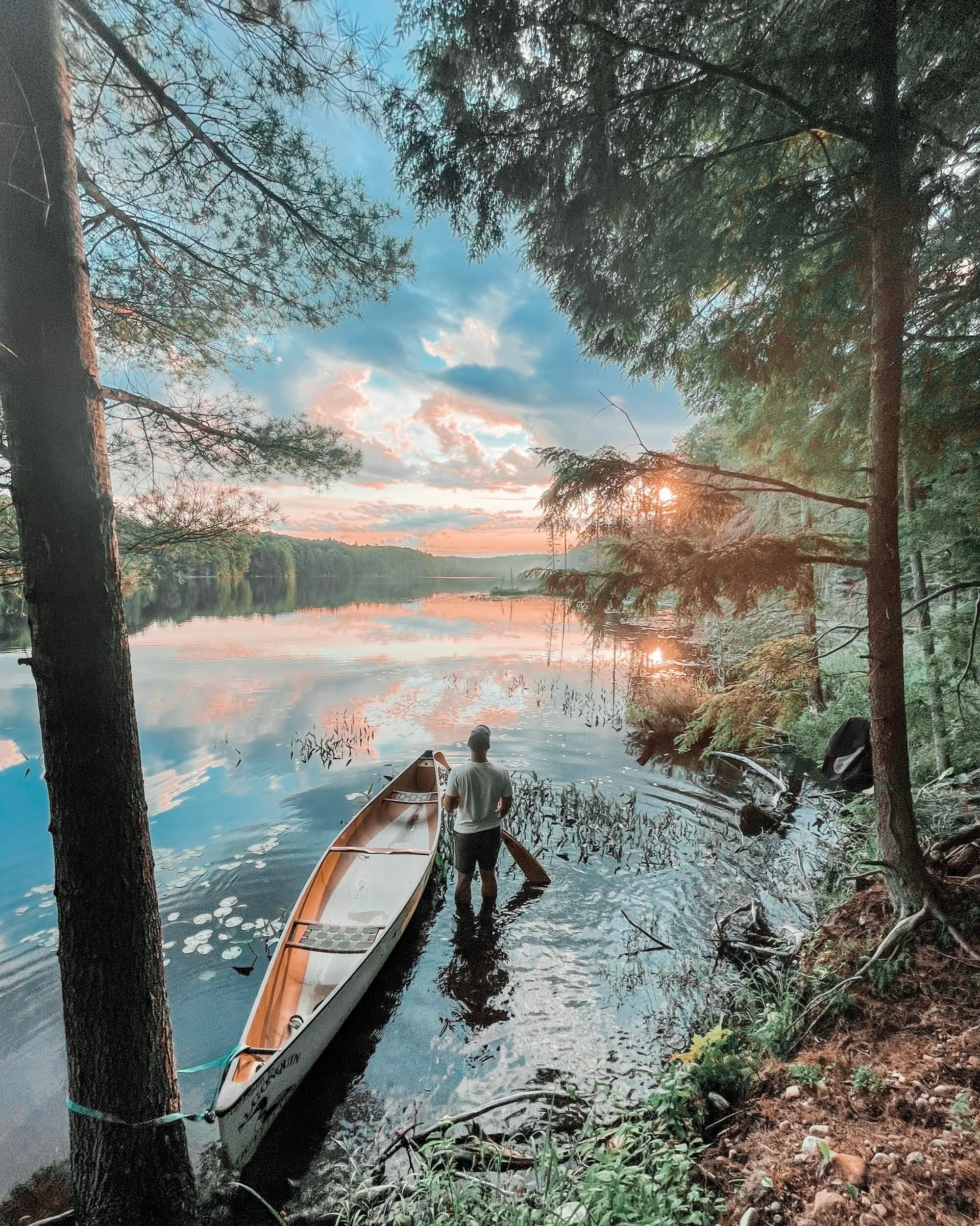 Lost in Ontario: Camping at Limberlost Forest and Wildlife Reserve