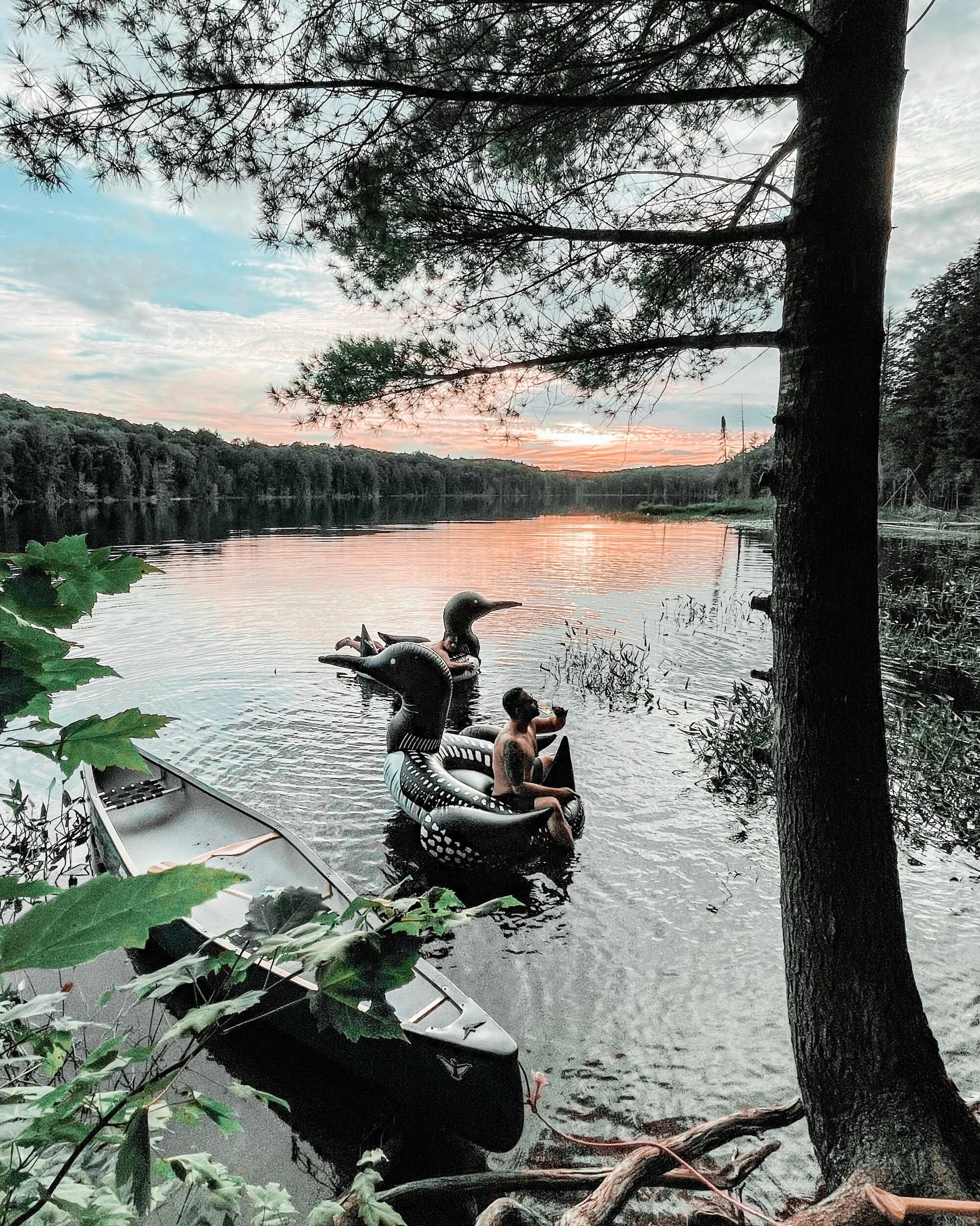 Lost in Ontario: Camping on Labour Day Weekend at Limberlost Forest and Wildlife Reserve