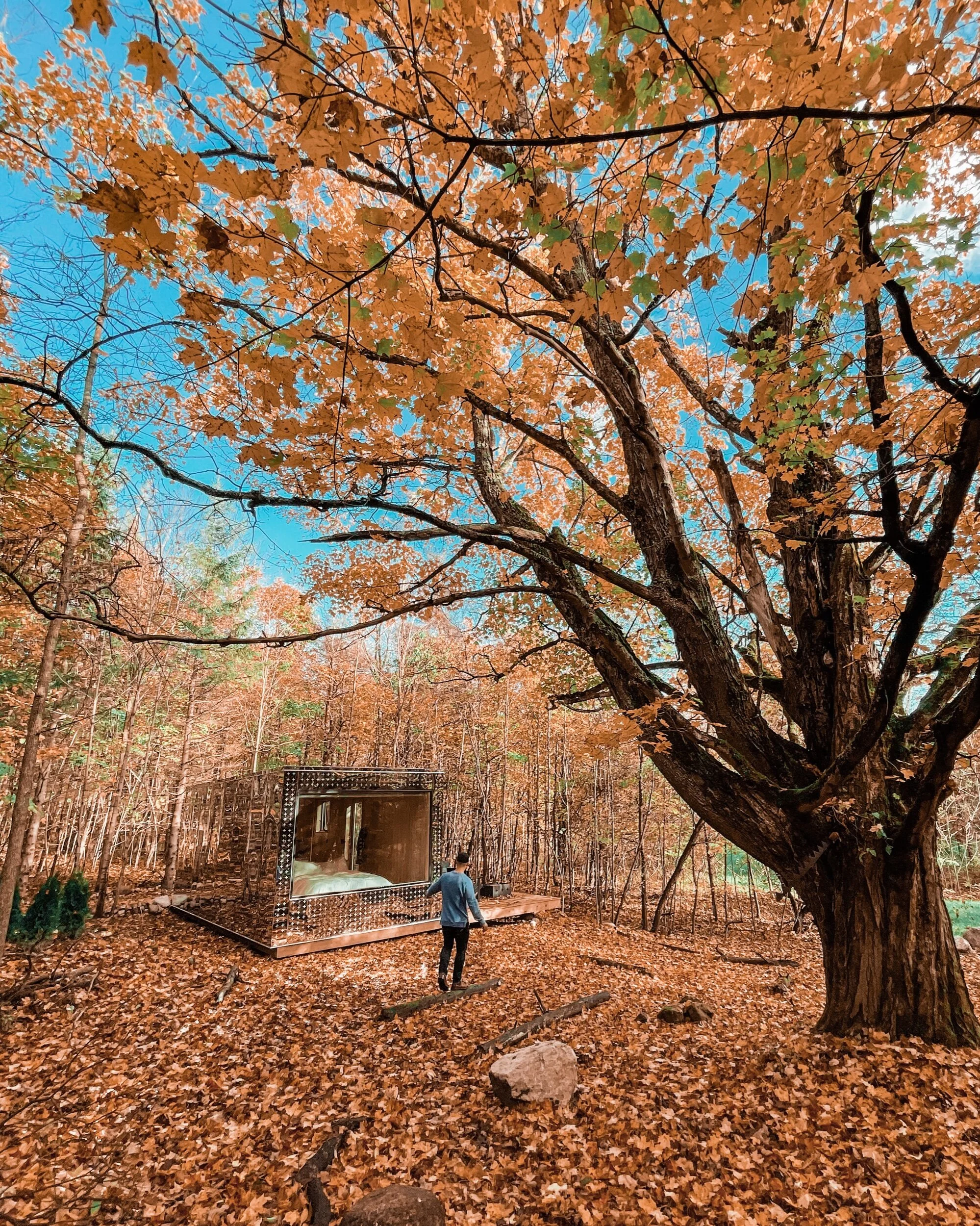 Lost in Ontario: A Night in Arcana