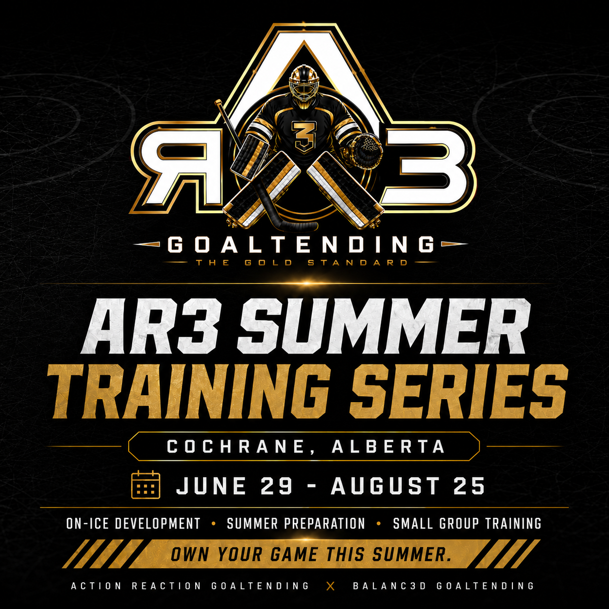 The 2026 ARG/AR3 Summer Training Series