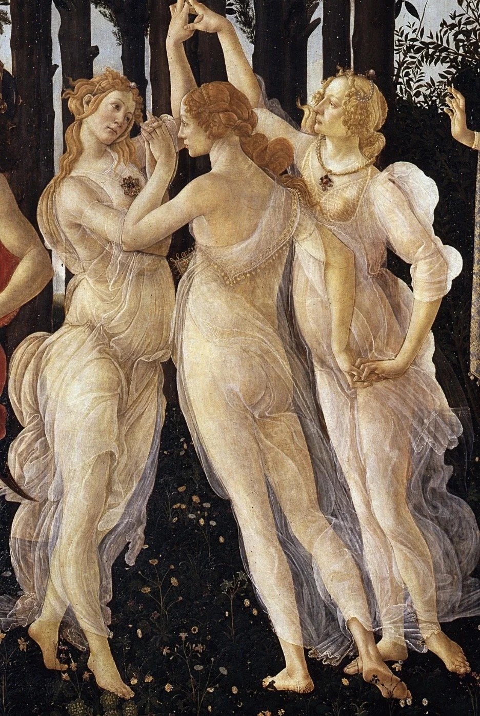 Three Graces in Primavera, Botticelli