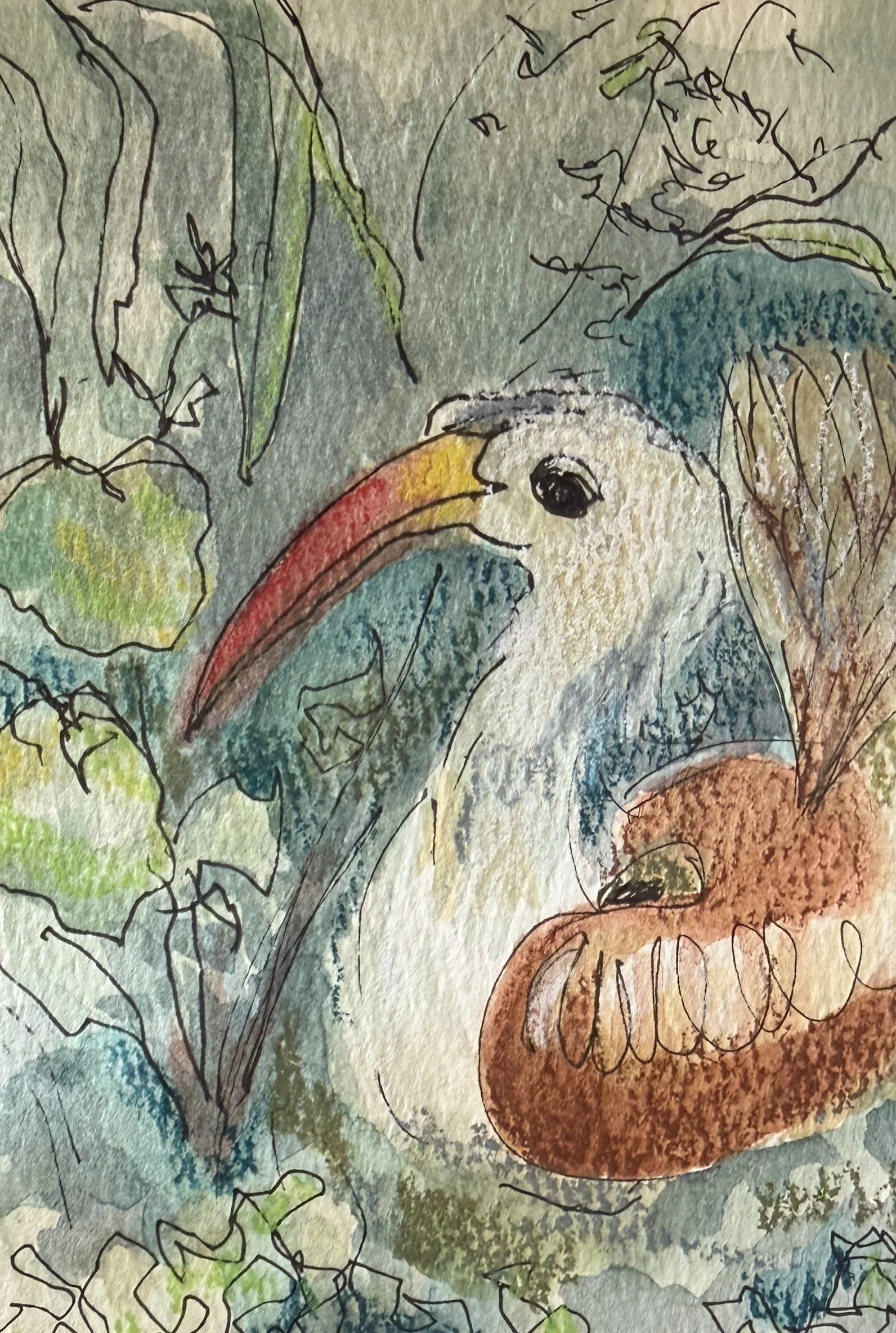 Hornbill 