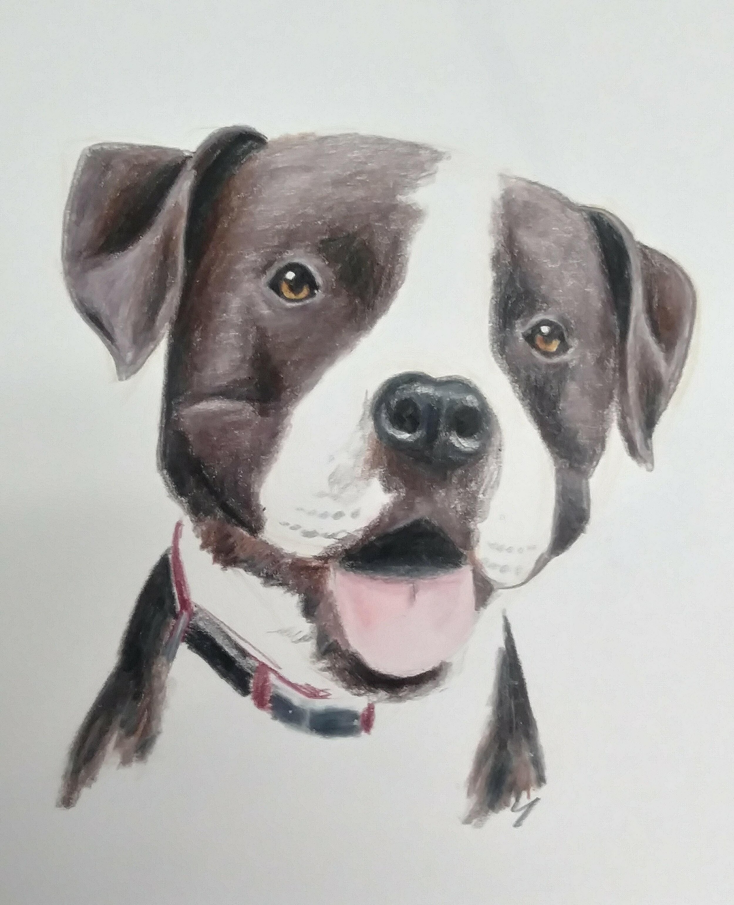 Awesome Dog