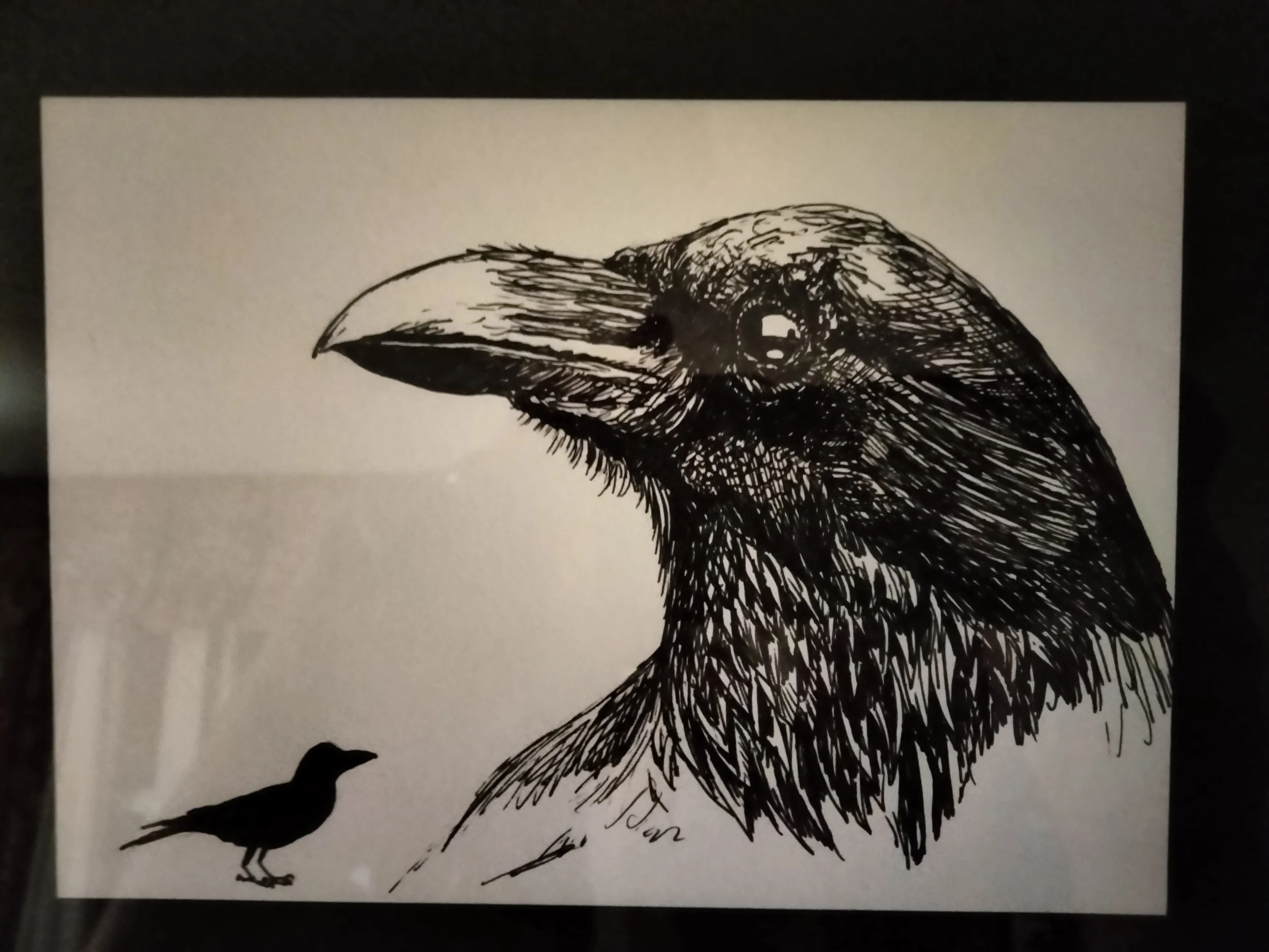 Crow