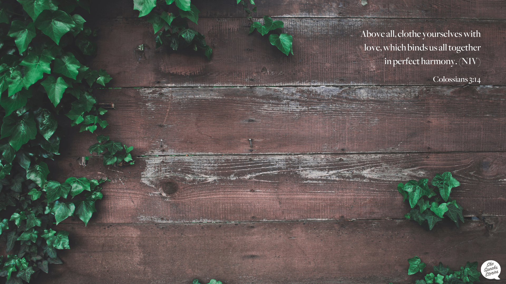 Colossians 3:14 Desktop Wallpaper