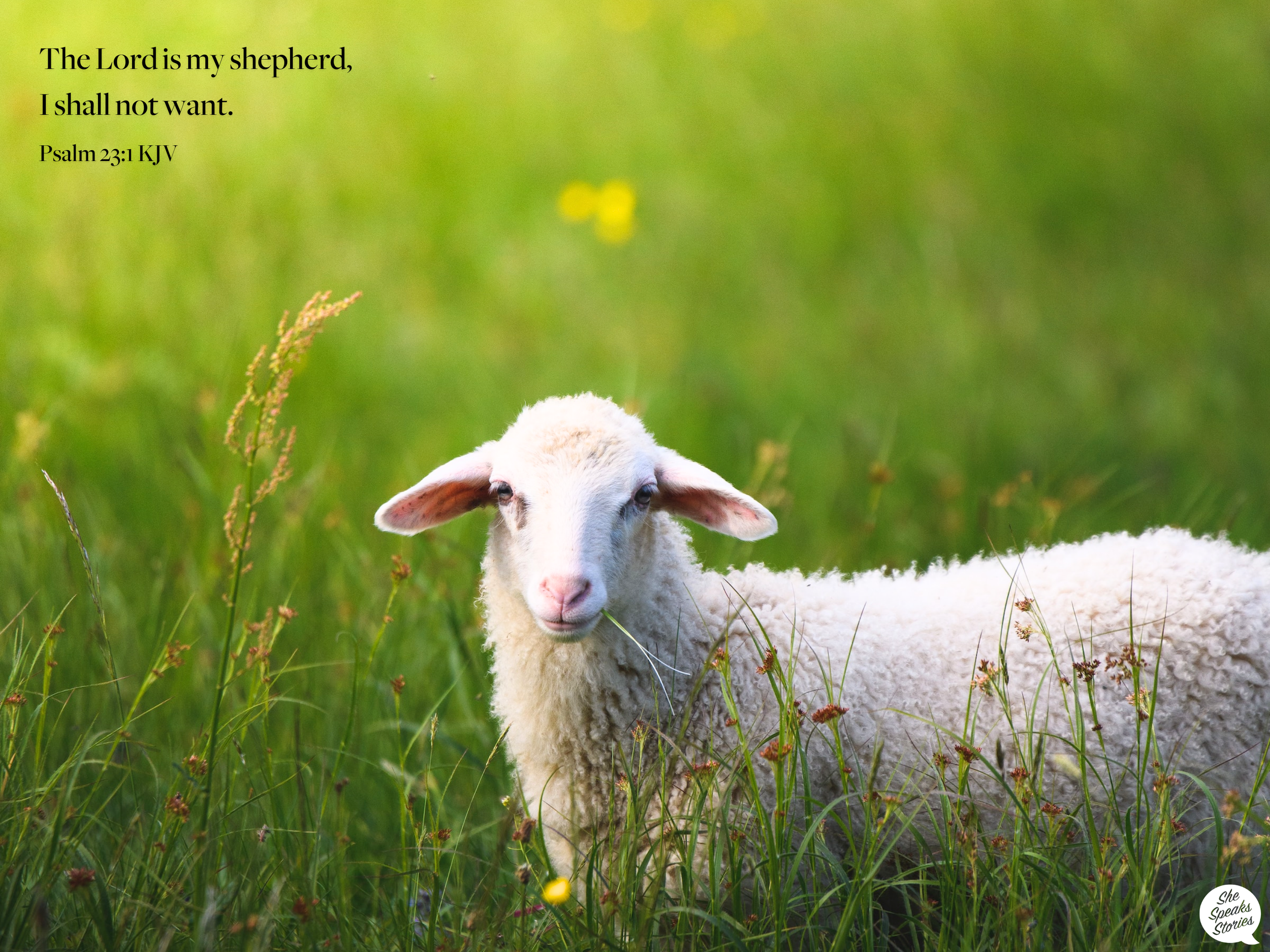 Psalm 23:1 tablet wallpaper