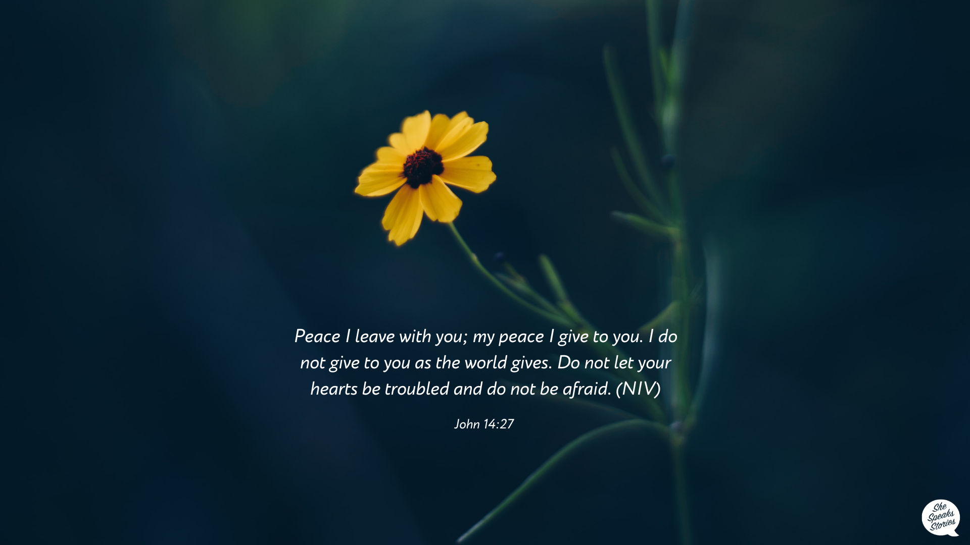 John 14:27 desktop wallpaper