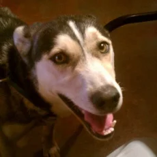 Juno, safe and sound.