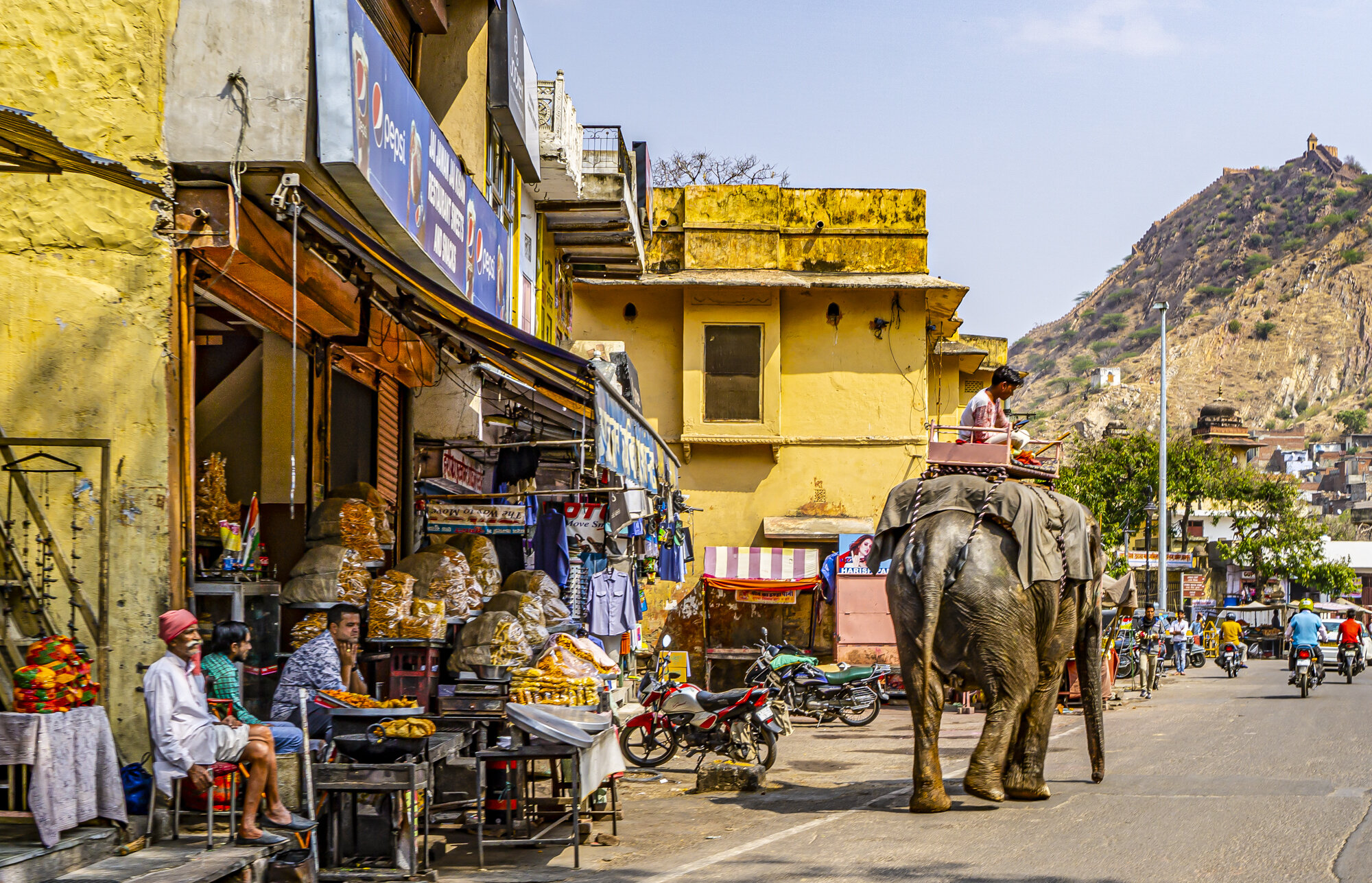 Street Scene with Elephant