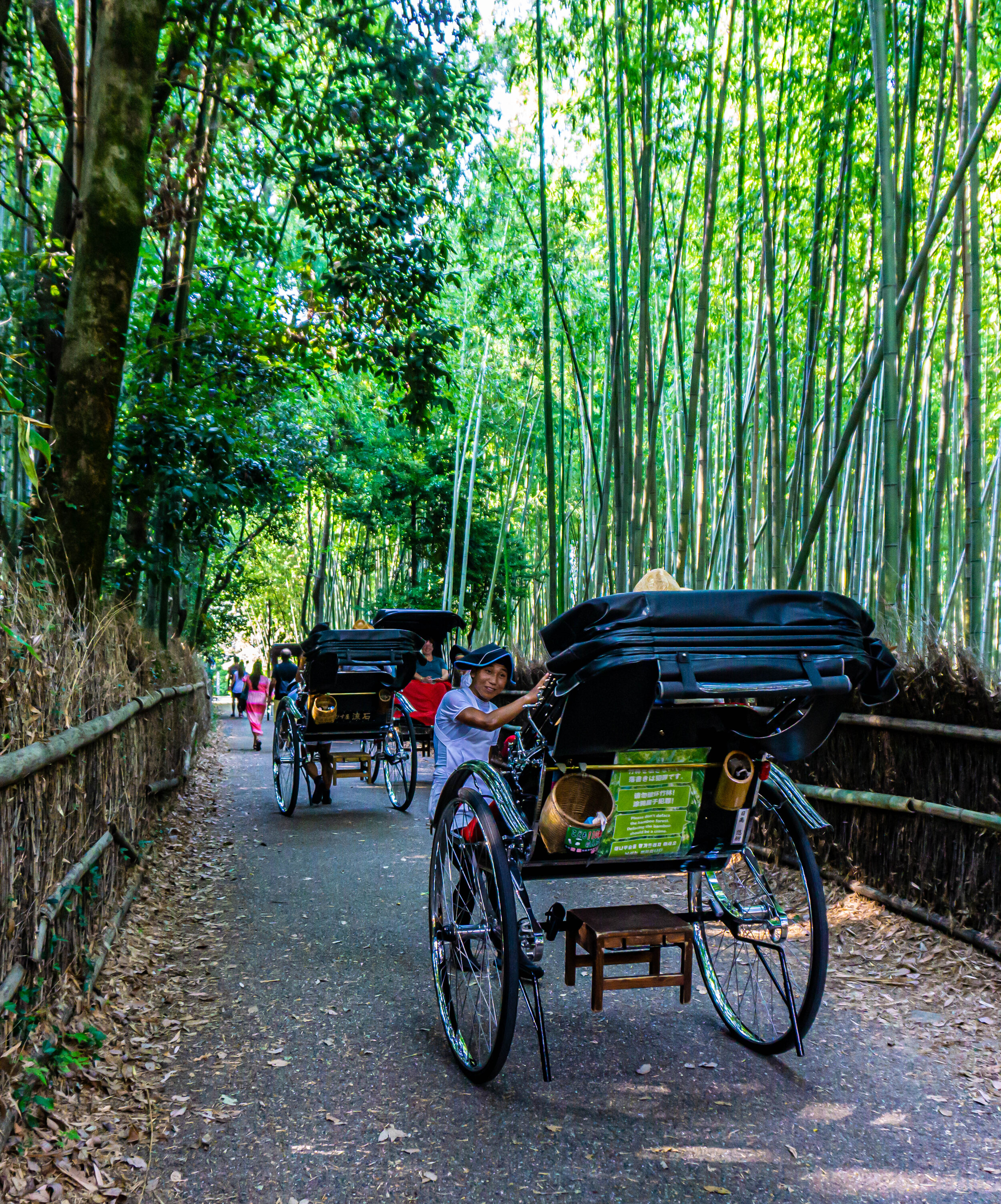 Bamboo Forest Cart Driver