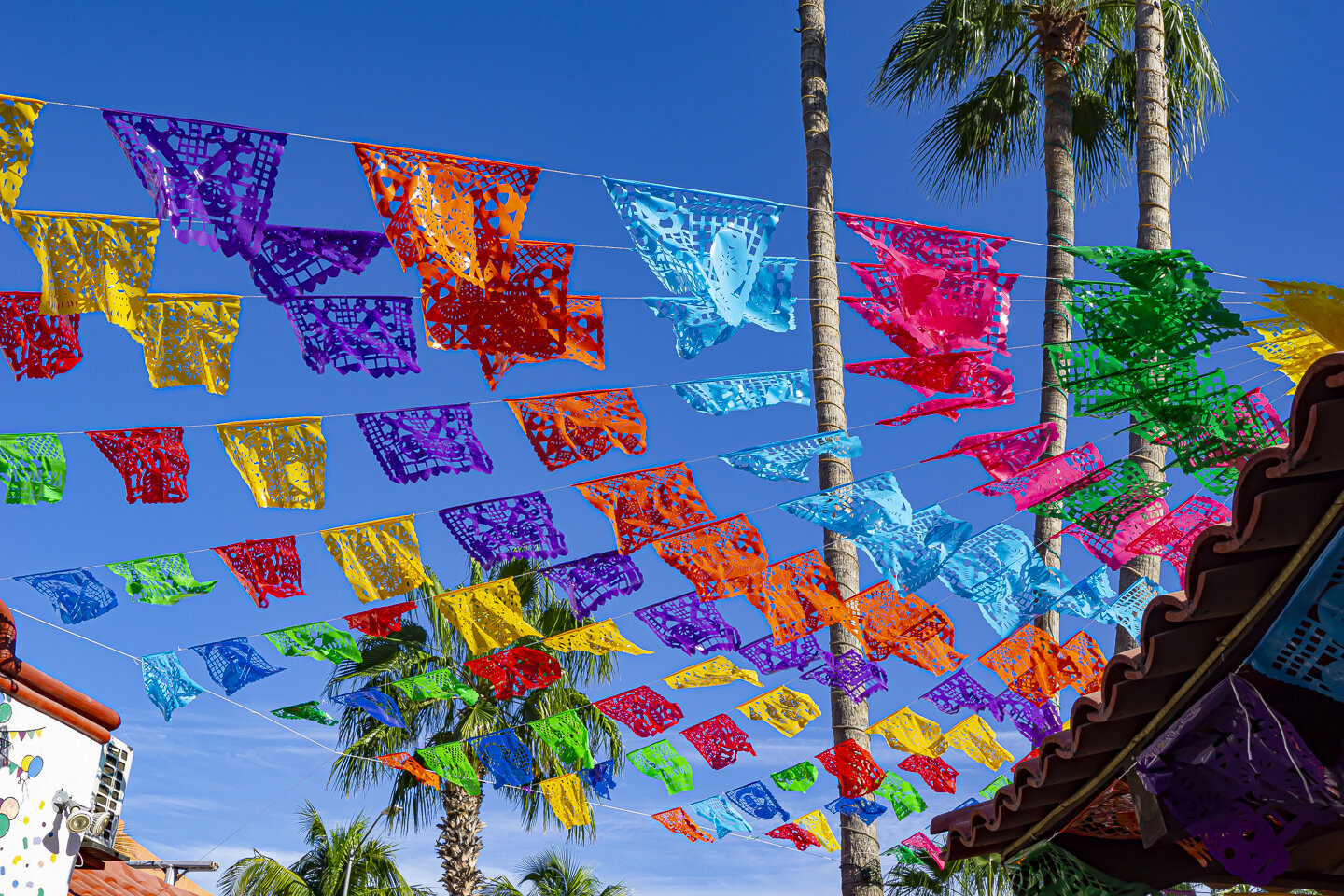 Day of the Dead Flags