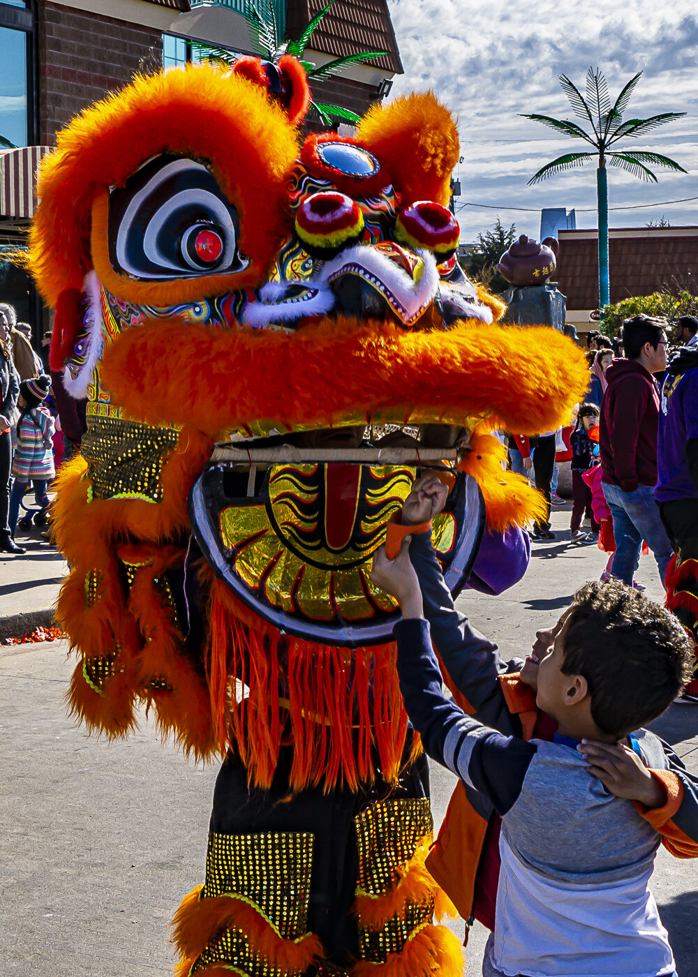 Feeding the Orange Lion at Lunar New Year