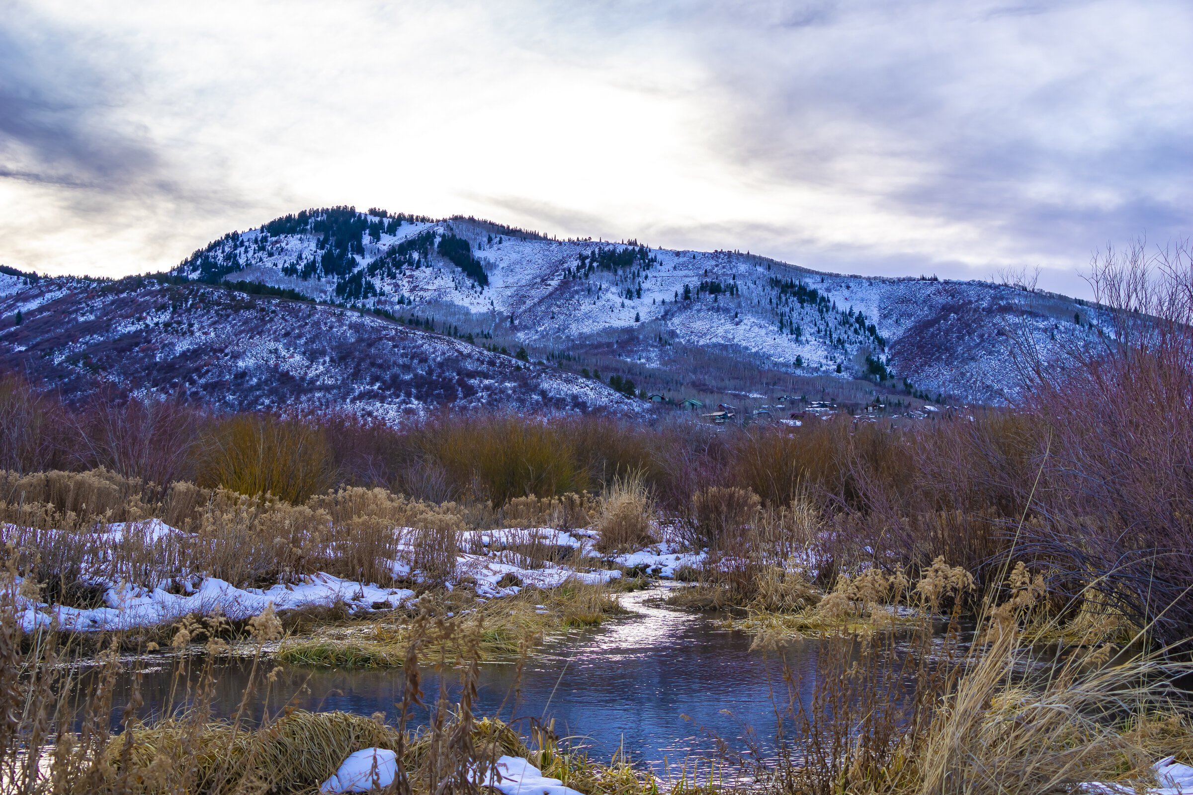 Park City Late Afternoon with Winding Stream