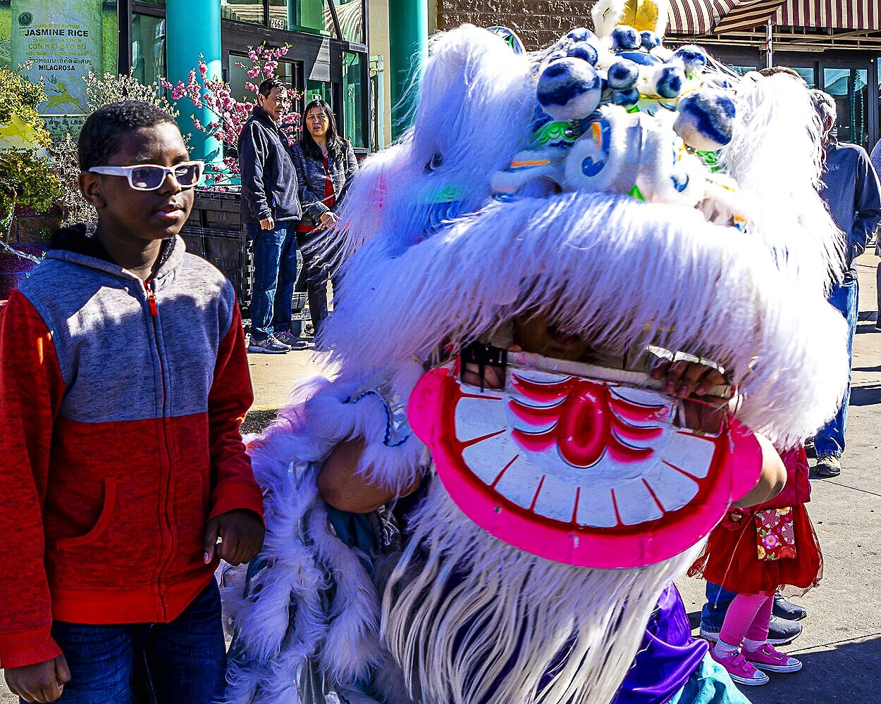 White Glasses and White Lion, Lunar New Year