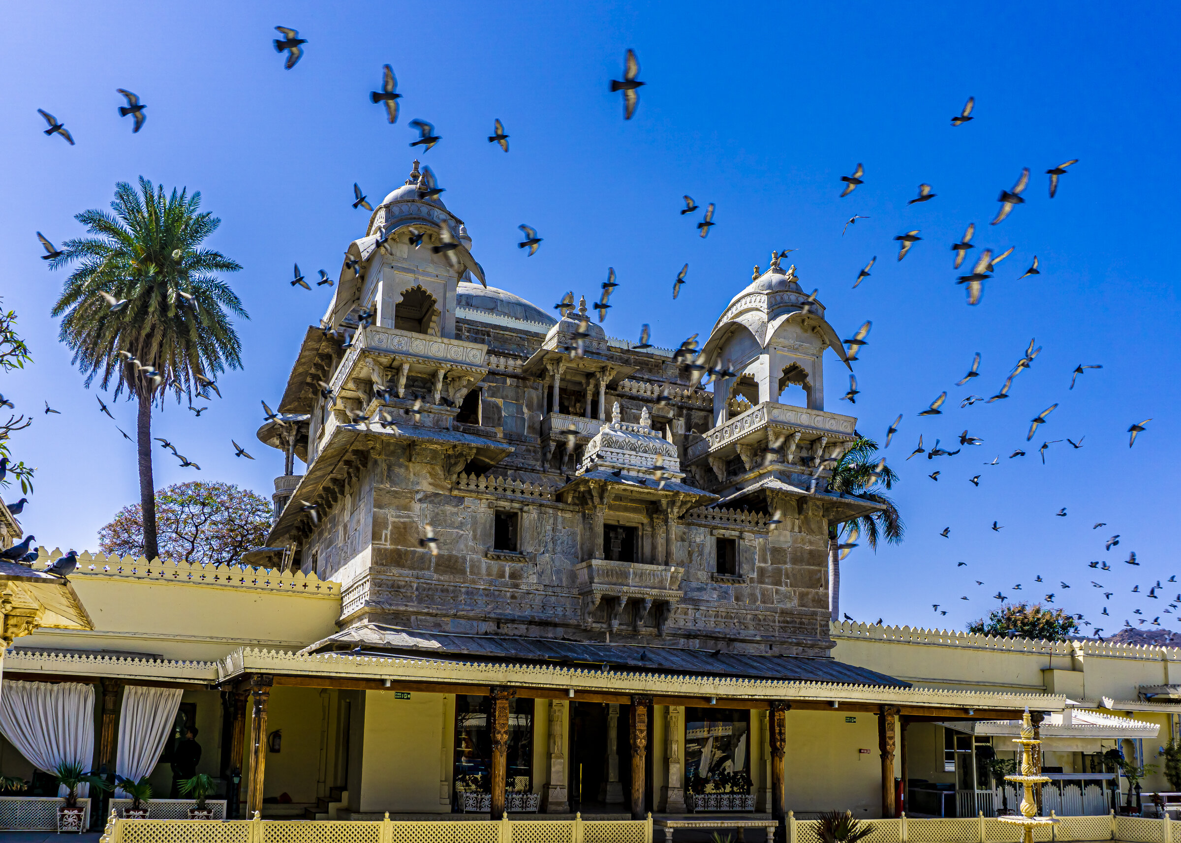 Palace Jag Mandir with Pigeons