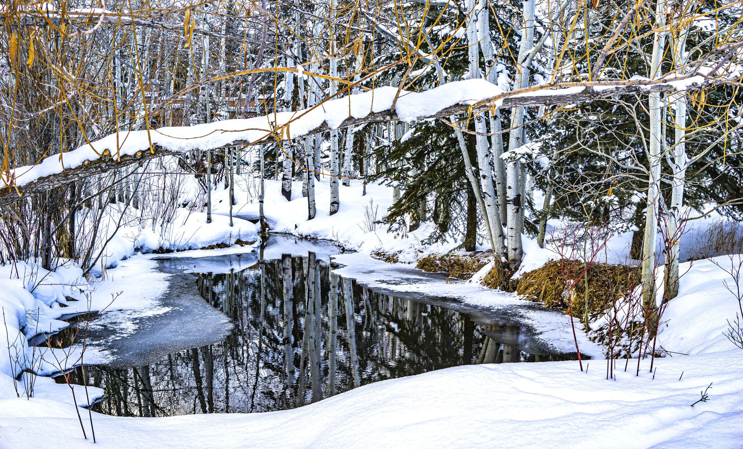 Aspen Winter Reflections 2