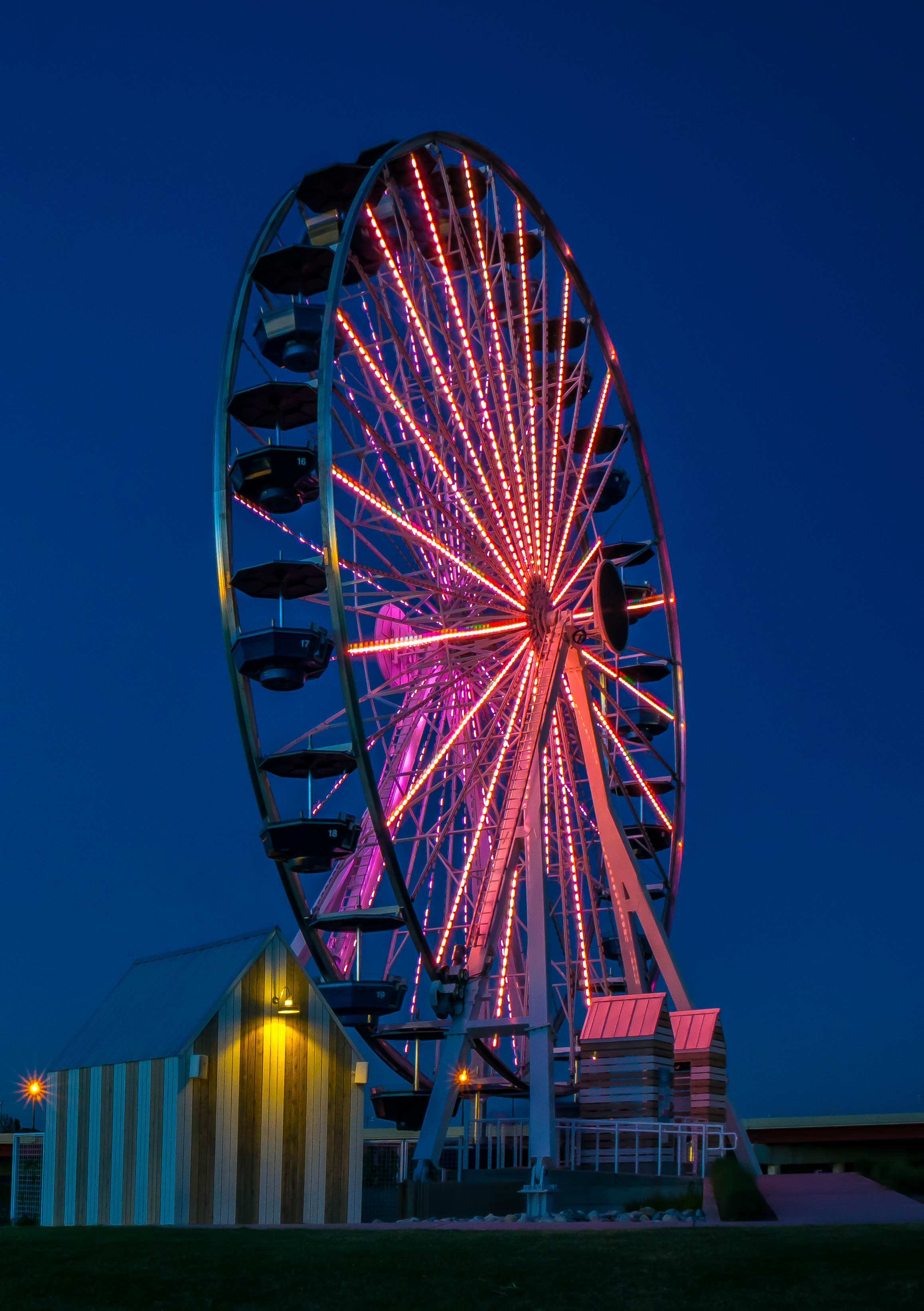 Pink Ferris wheel