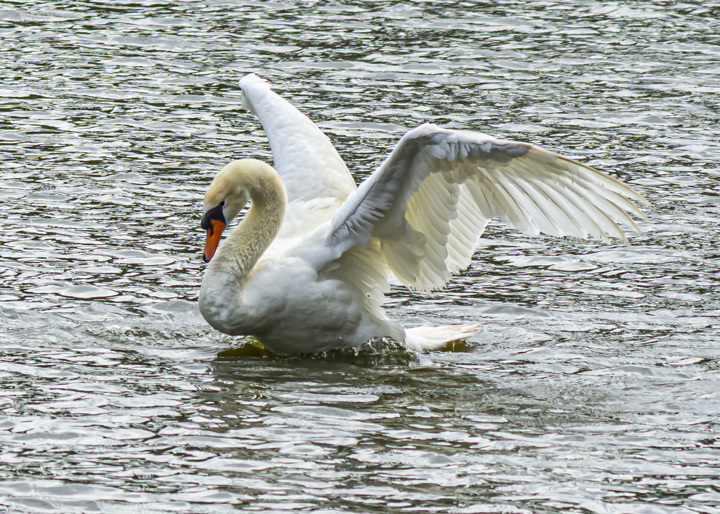 Cob Swan Stretching his Wings
