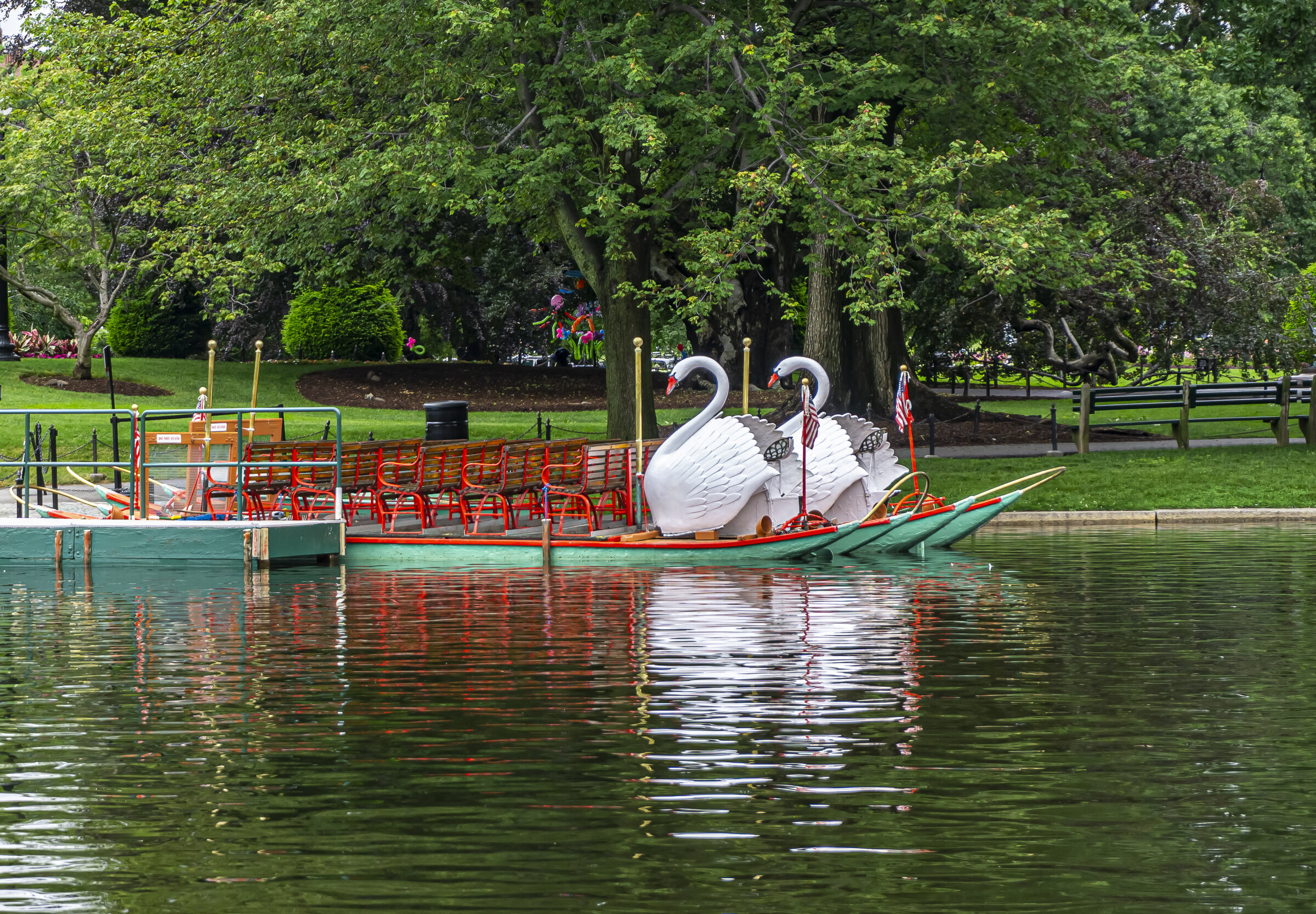 Swan Boat Reflections