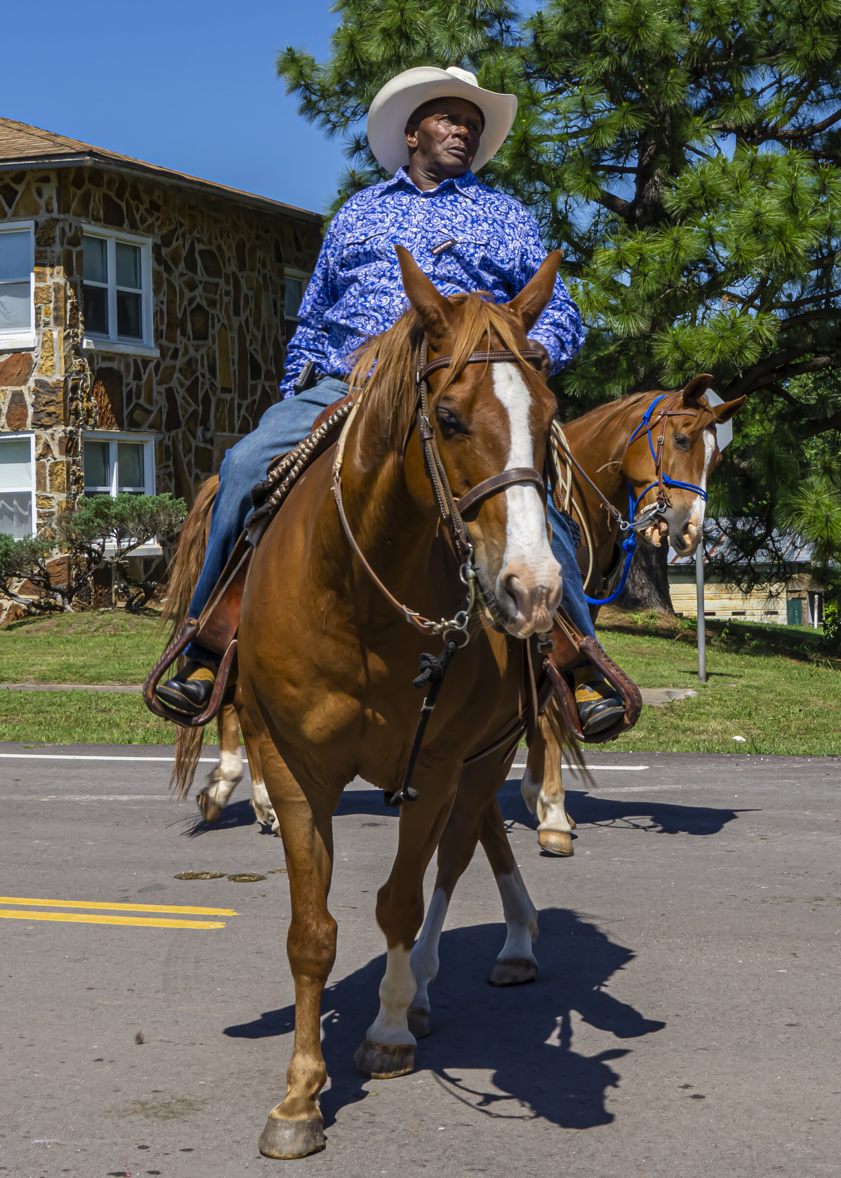 Boley Rodeo  Parade Rider