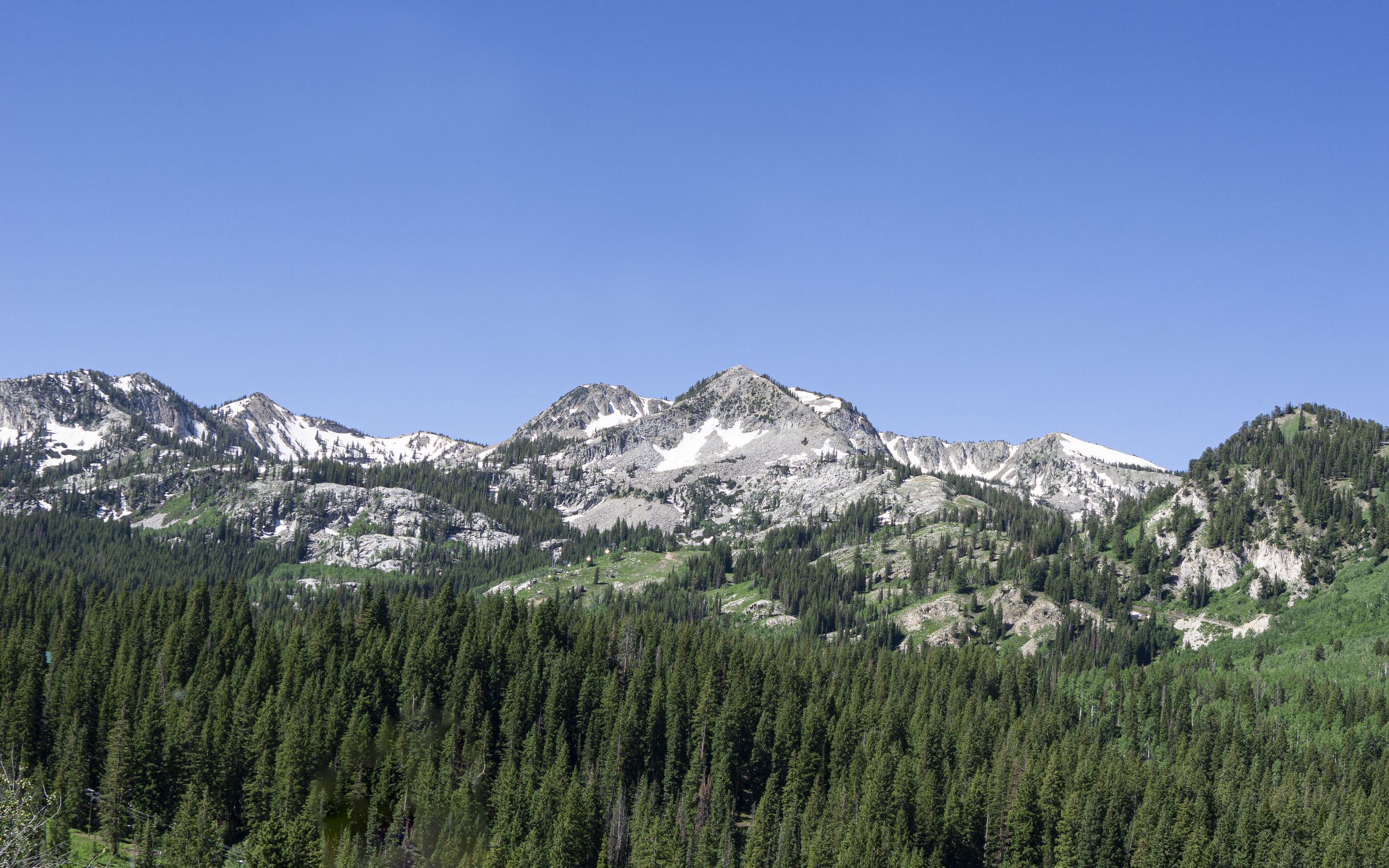 View from Guardsman Pass