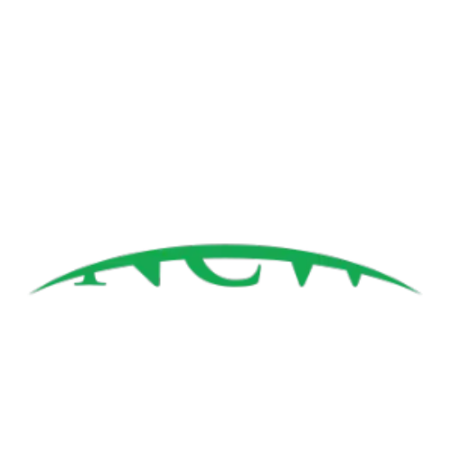 17.png
