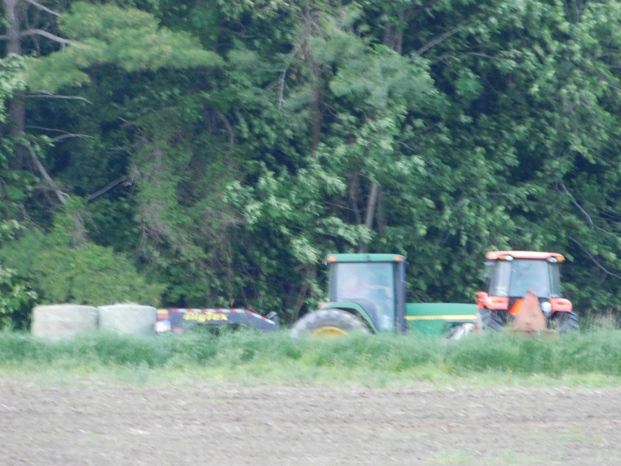 DSCN0033.JPG