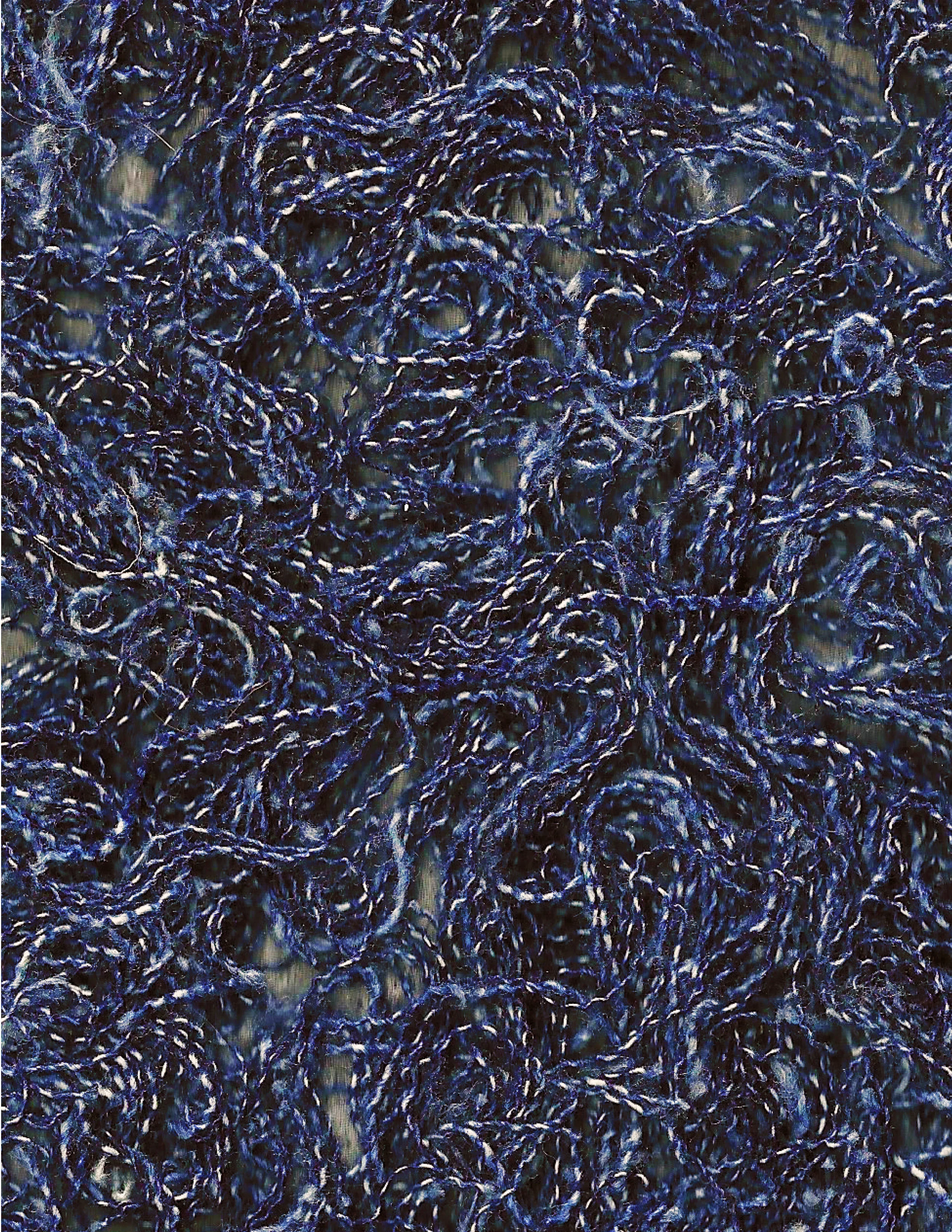 Digital Portfolio2.jpg