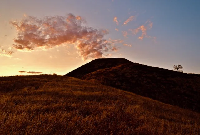 Lone Tree Hill