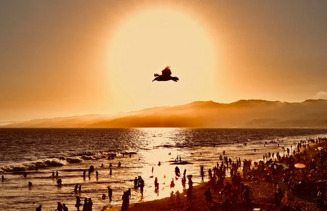 Santa Monica Beach Sunset