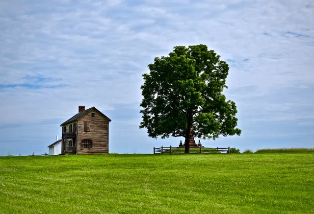 Virginia Barn and Tree