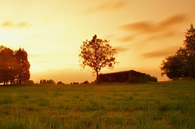 Tobacco Barn