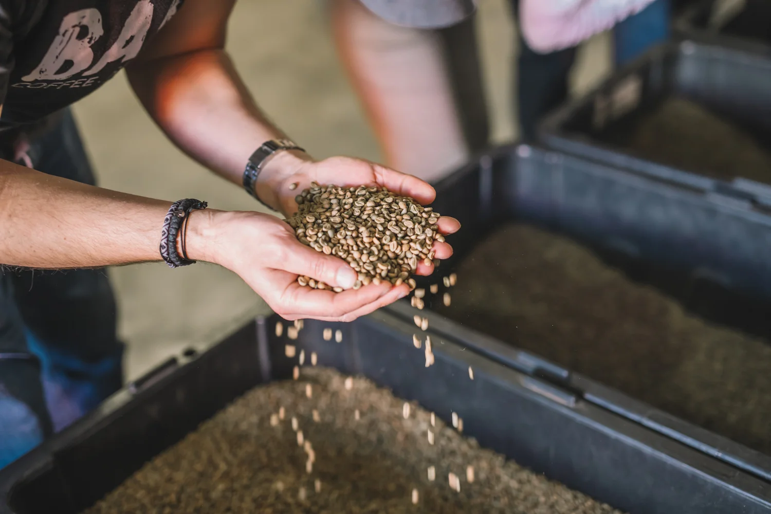 Sunshine Coast Coffee Roastery-185.jpg