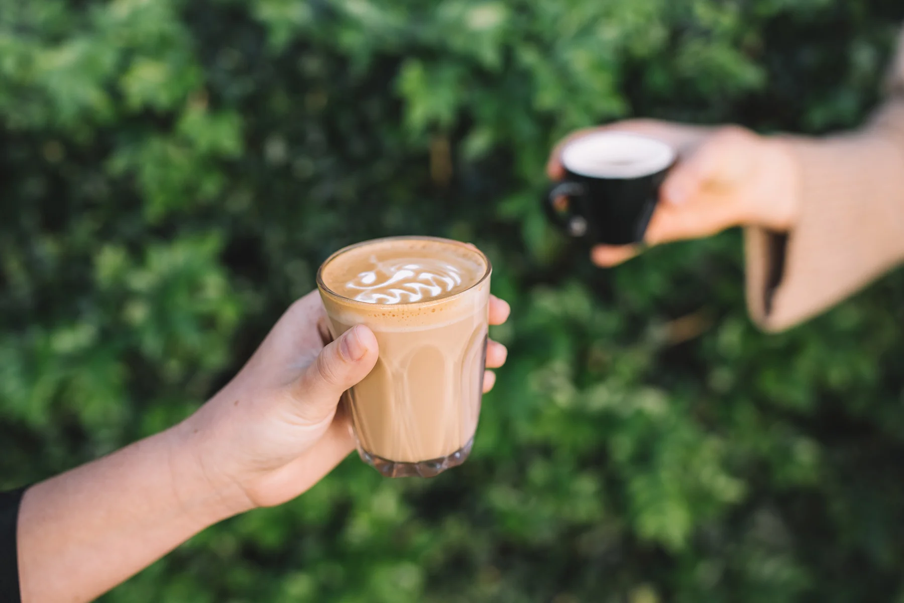 About — Sunshine Coast Coffee Roastery MultiAward Winning Coffee